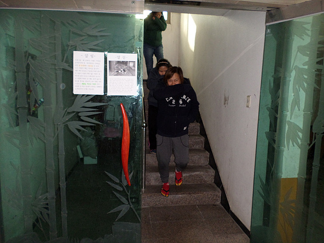 057 2017-02-20 - 2.jpg